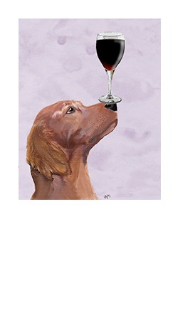 Wine Dogs USA (Purple)